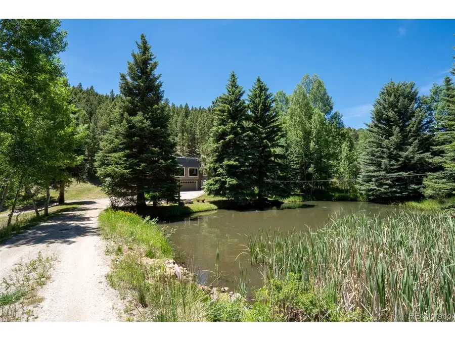 384 Brookside Dr, Bailey, CO 80421 - #3