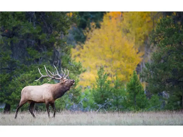 300 Virginia Ave, Leadville, CO 80461