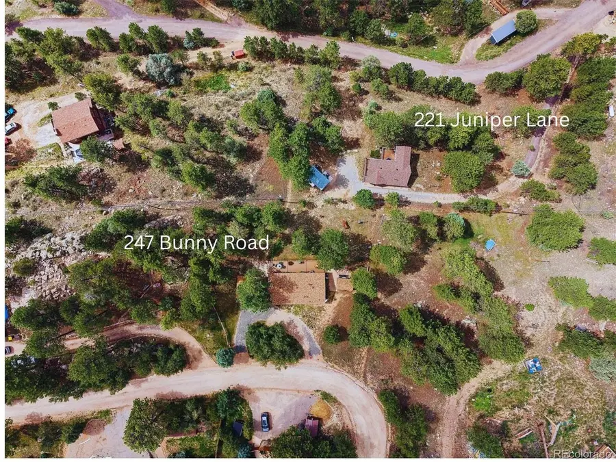 221 Juniper Ln, Bailey, CO 80421 - #2