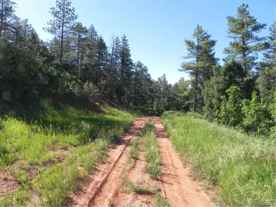 8117 Acoma Dr, Larkspur, CO 80118 - #3