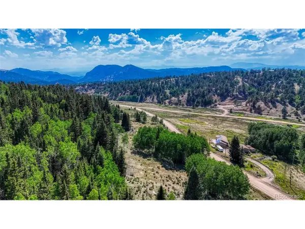 1444 Anges Dr, Cripple Creek, CO 80813
