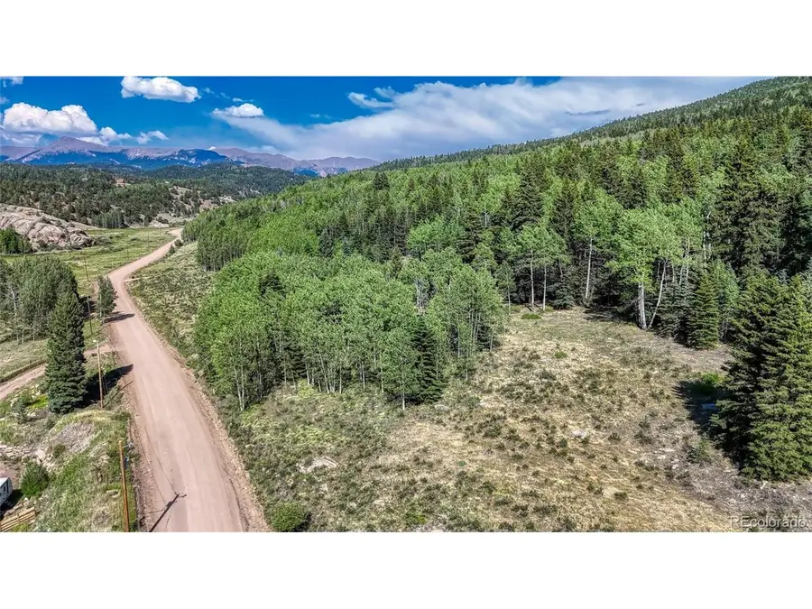 1444 Anges Dr, Cripple Creek, CO 80813 - #2