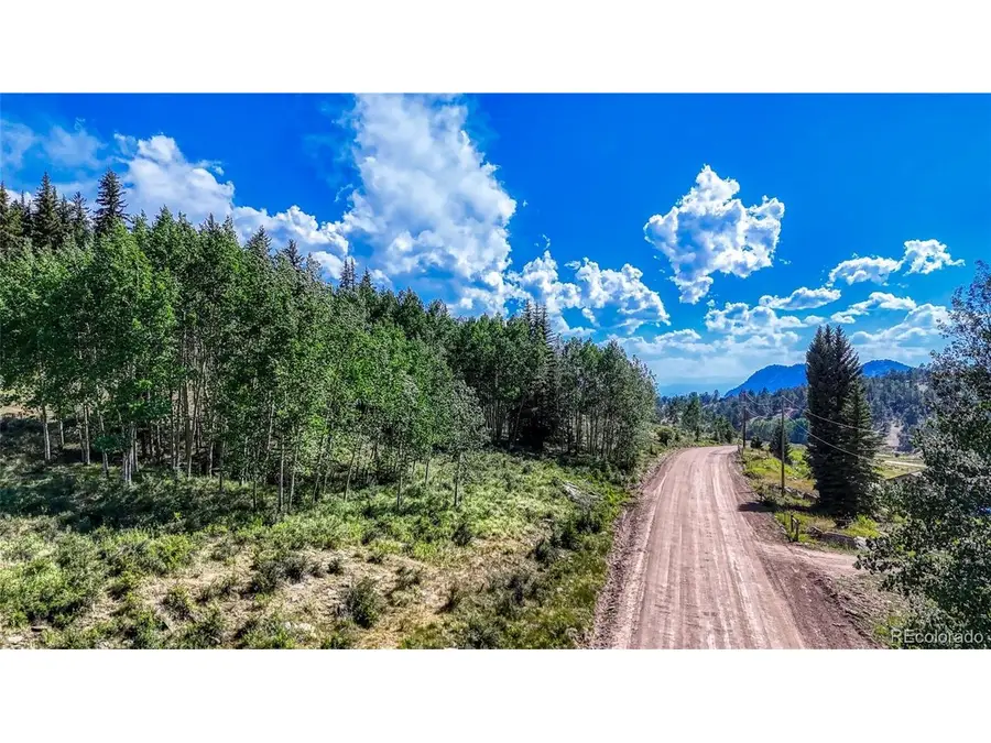 1444 Anges Dr, Cripple Creek, CO 80813 - #3