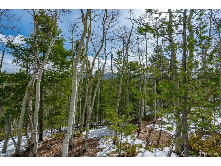 224 Deadwood Rd, Cripple Creek, CO 80813 - #3