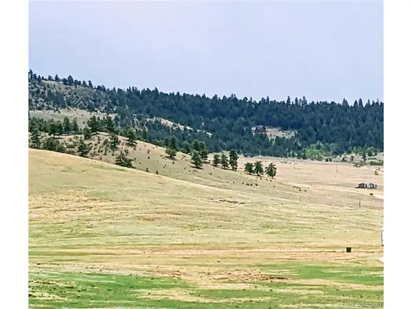 42 Vitorio Trl, Hartsel, CO 80449