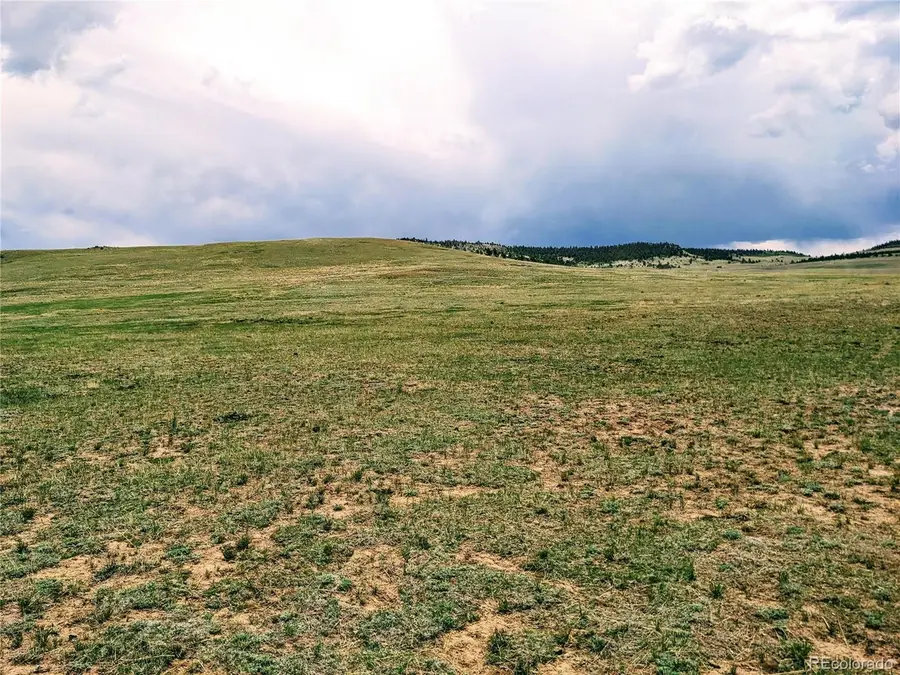 42 Vitorio Trl, Hartsel, CO 80449 - #3