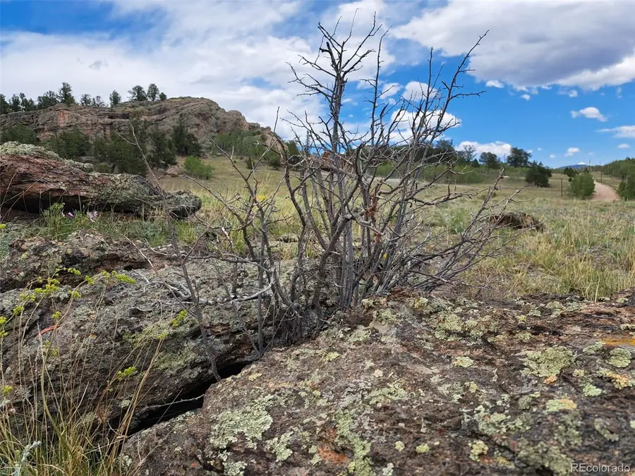 149 Mustang Rd, Jefferson, CO 80456 - #2