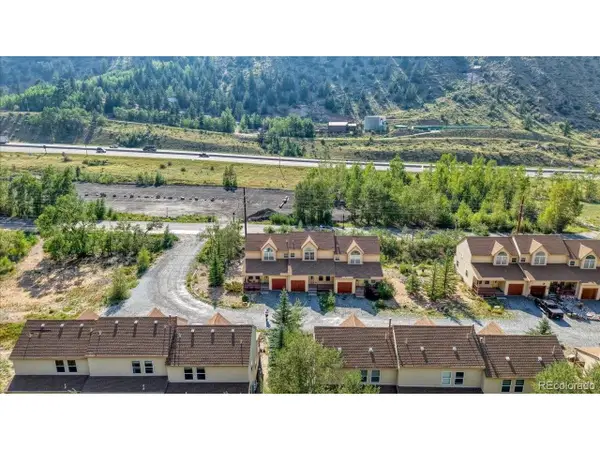 1787 Mountain Creek Dr #14, Georgetown, CO 80444