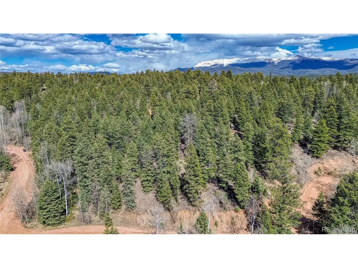 3075 N Mountain Estates Rd, Florissant, CO 80816 - #1