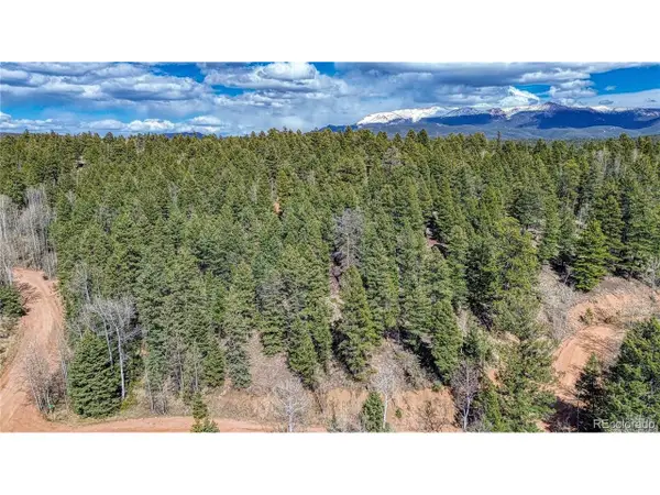 3075 N Mountain Estates Rd, Florissant, CO 80816