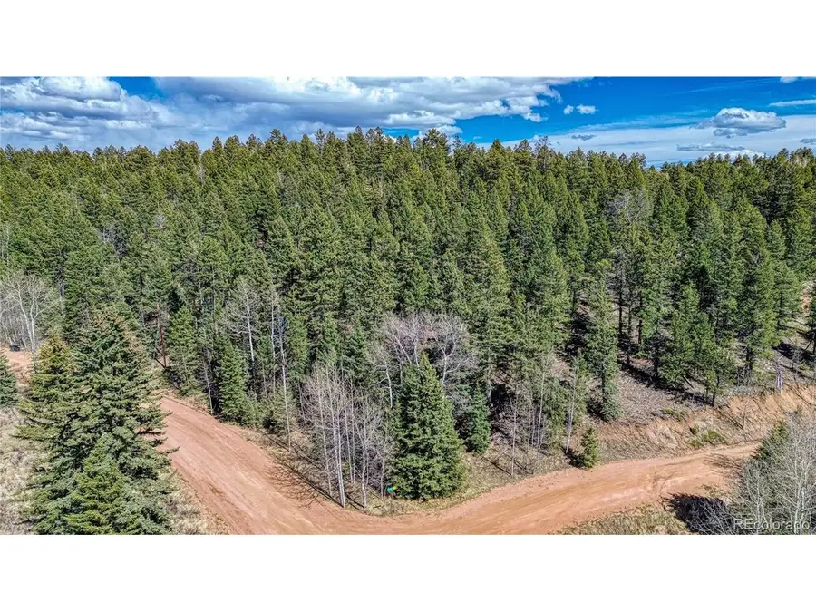 3075 N Mountain Estates Rd, Florissant, CO 80816 - #2