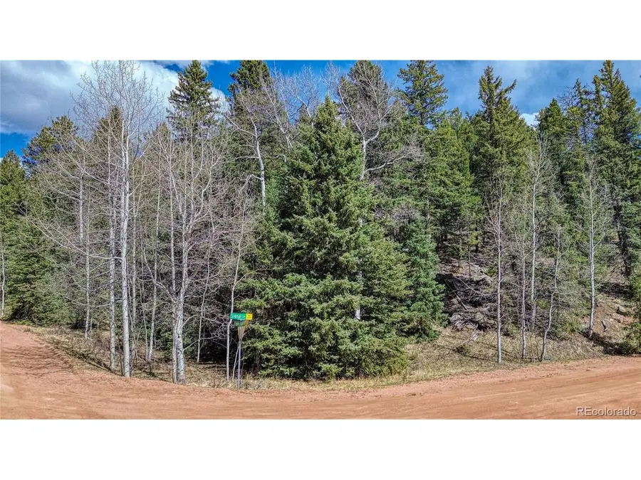 3075 N Mountain Estates Rd, Florissant, CO 80816 - #3