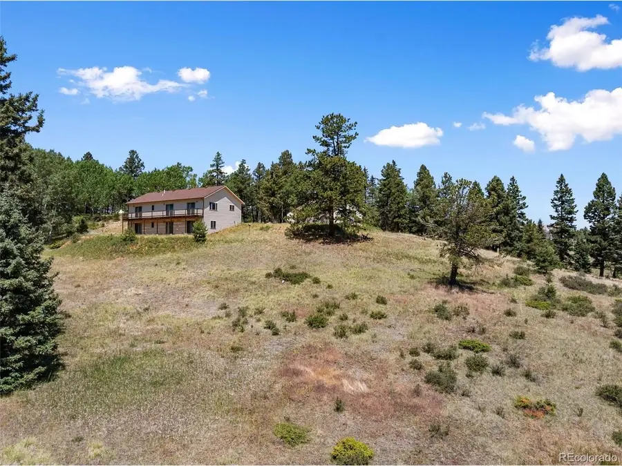 1054 Cantiberry Rd, Divide, CO 80814 - #2