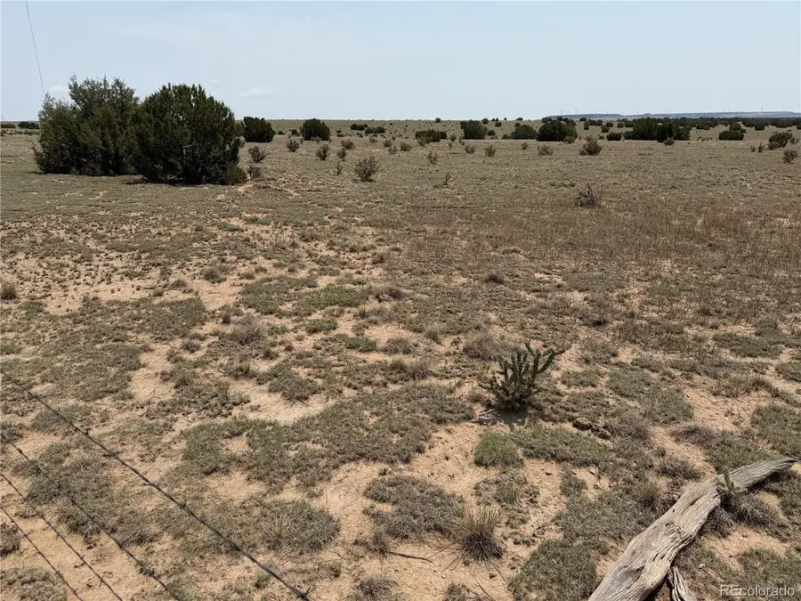 167 Tyrone Hills Ranch, Walsenburg, CO 81089 - #2
