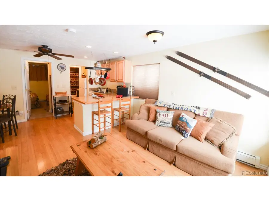 414 Tenderfoot St #9, Dillon, CO 80435 - Image #3