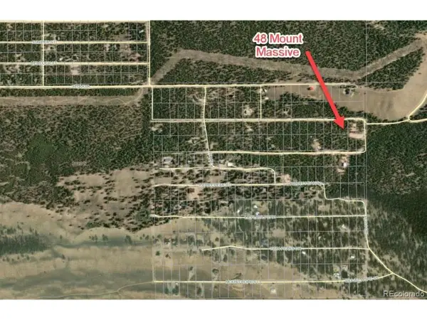 48 Mount Massive Rd, Twin Lakes, CO 81251