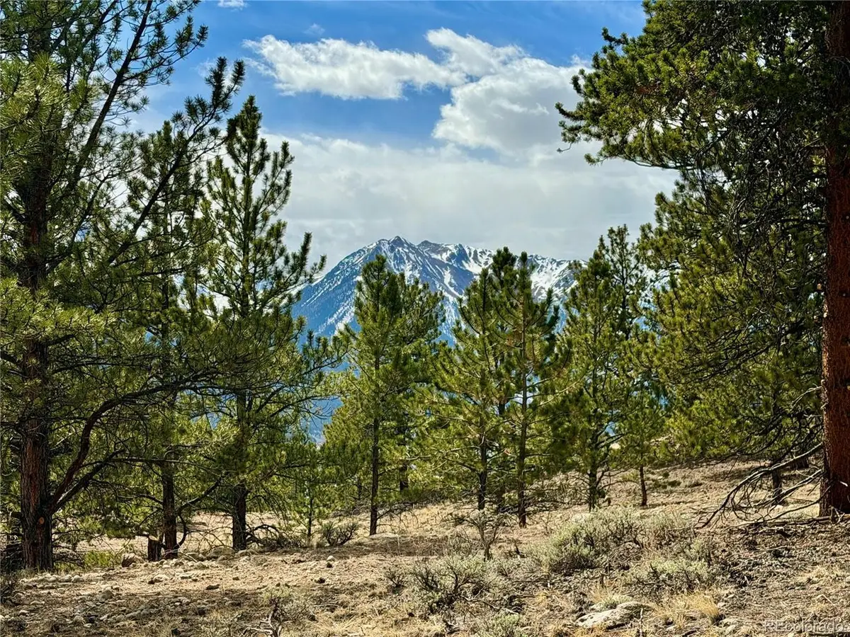 142 La Plata Peak Dr, Twin Lakes, CO 81251 - #1