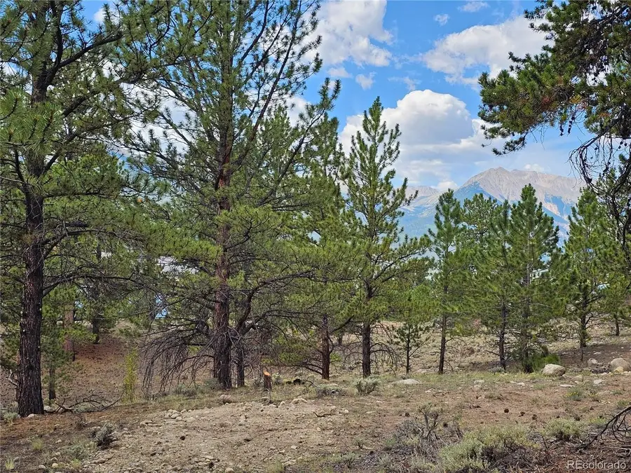 142 La Plata Peak Dr, Twin Lakes, CO 81251 - #2