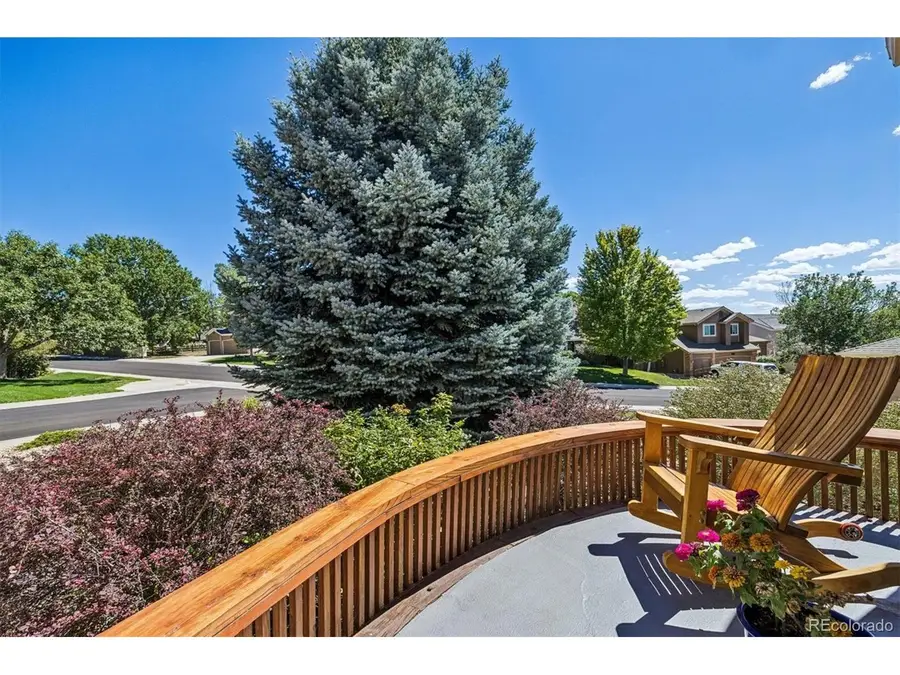 10767 Pikeview Ln, Parker, CO 80138 - #3
