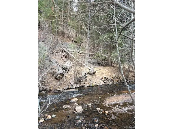 0 S Elk Creek Rd, Pine, CO 80470