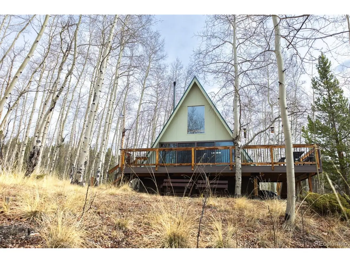 206 Empire Cir, Leadville, CO 80461 - #1