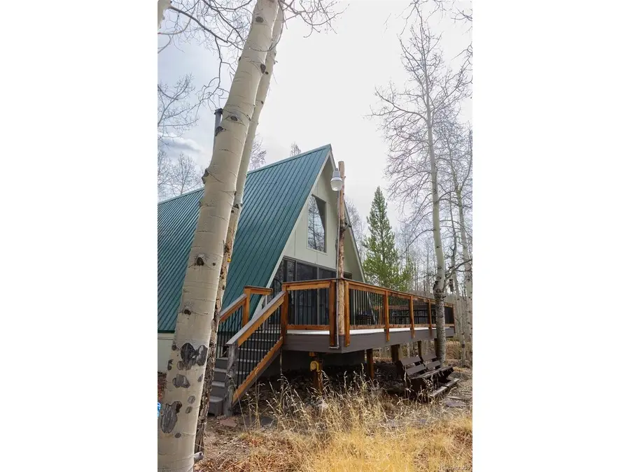 206 Empire Cir, Leadville, CO 80461 - #2
