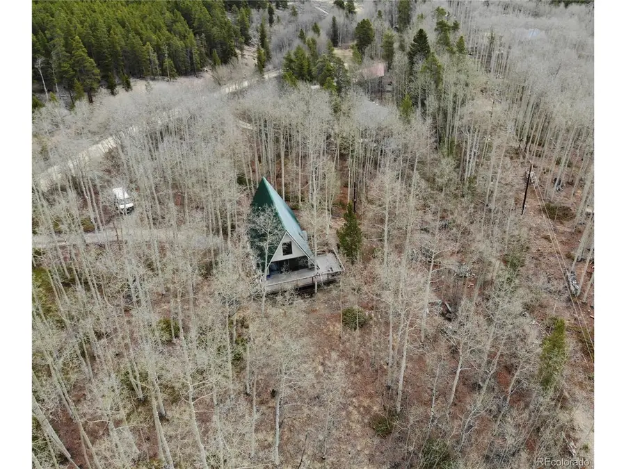 206 Empire Cir, Leadville, CO 80461 - #3