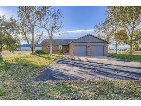 11377 Nucla St, Commerce City, CO 80022