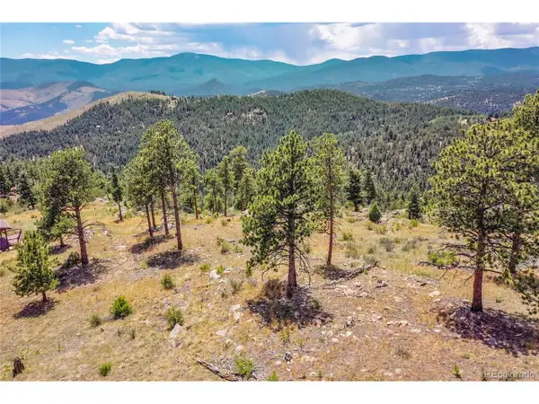 33550 Mount Wilson Trl, Pine, CO 80470