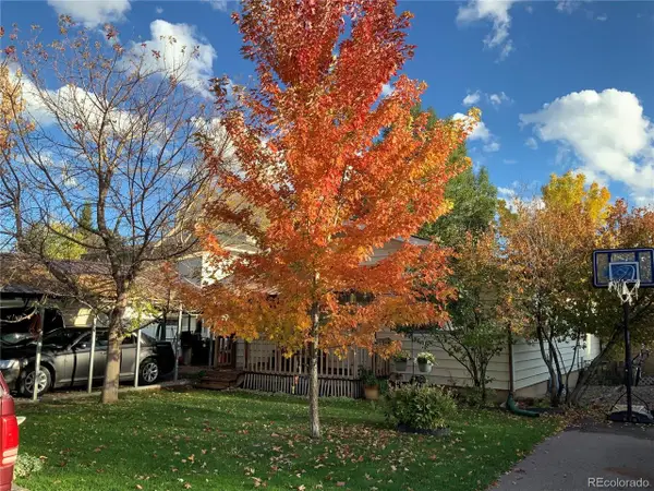 866 Cleveland St, Meeker, CO 81641