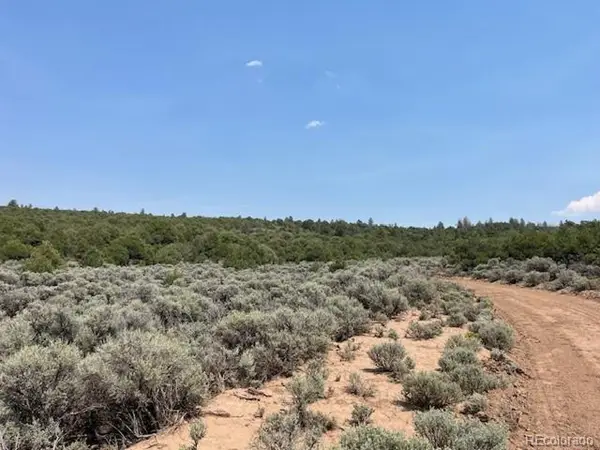 12 Bull Elk Trl, San Luis, CO 81152