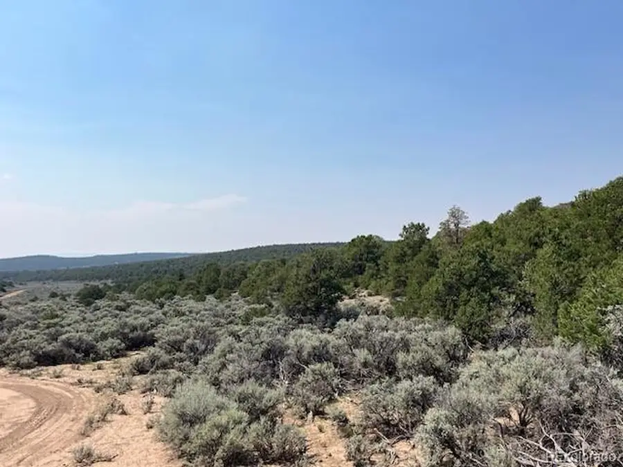 12 Bull Elk Trl, San Luis, CO 81152 - #3