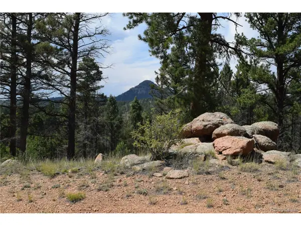 93 Kiowa Creek Trl, Florissant, CO 80816