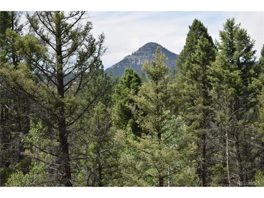 93 Kiowa Creek Trl, Florissant, CO 80816 - Image #2
