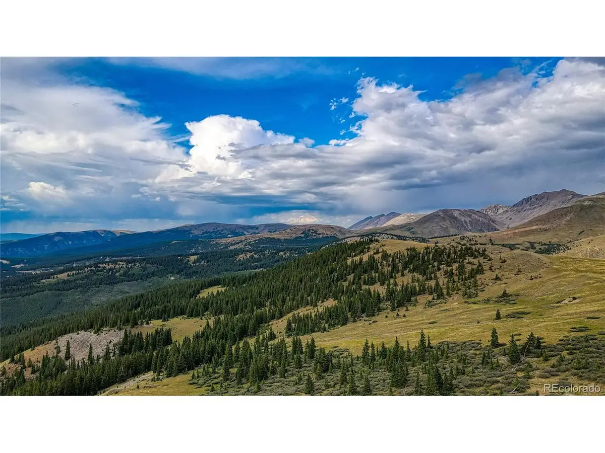 9551 Rose Group, Leadville, CO 80461 - #1