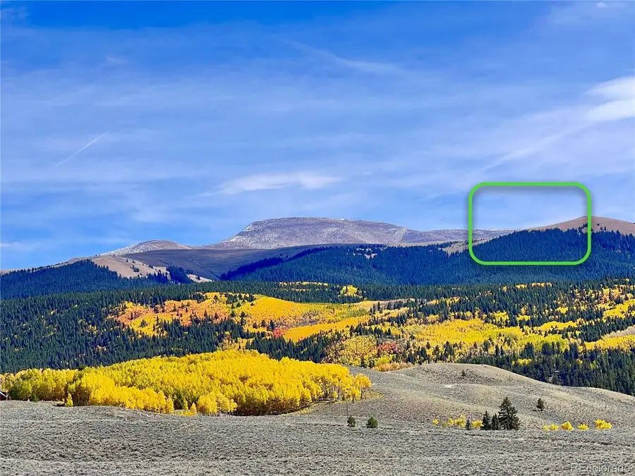 9551 Rose Group, Leadville, CO 80461 - #3