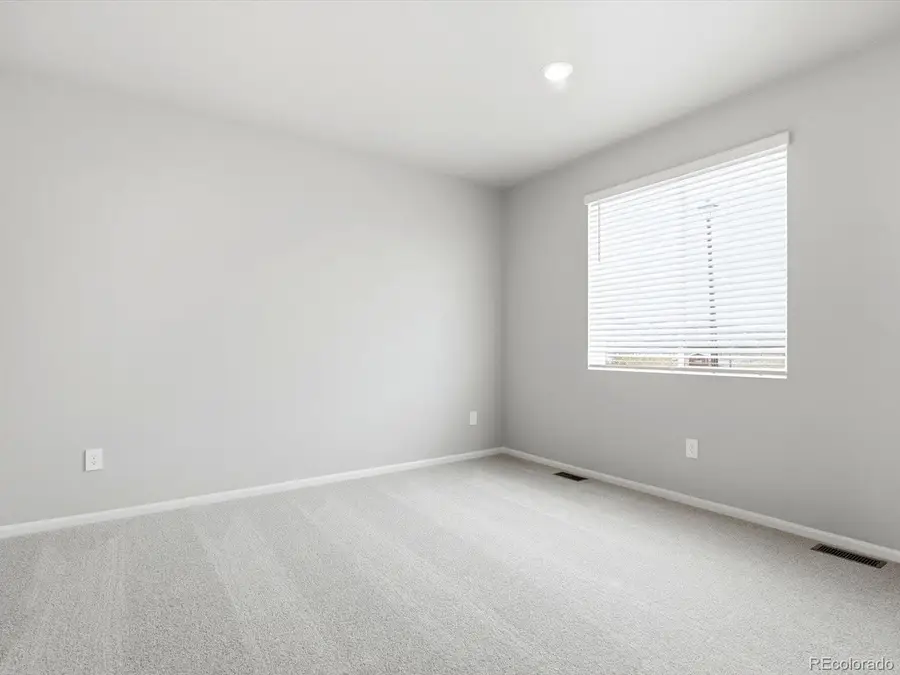 1660 Yampa River Dr, Windsor, CO 80550 - #3