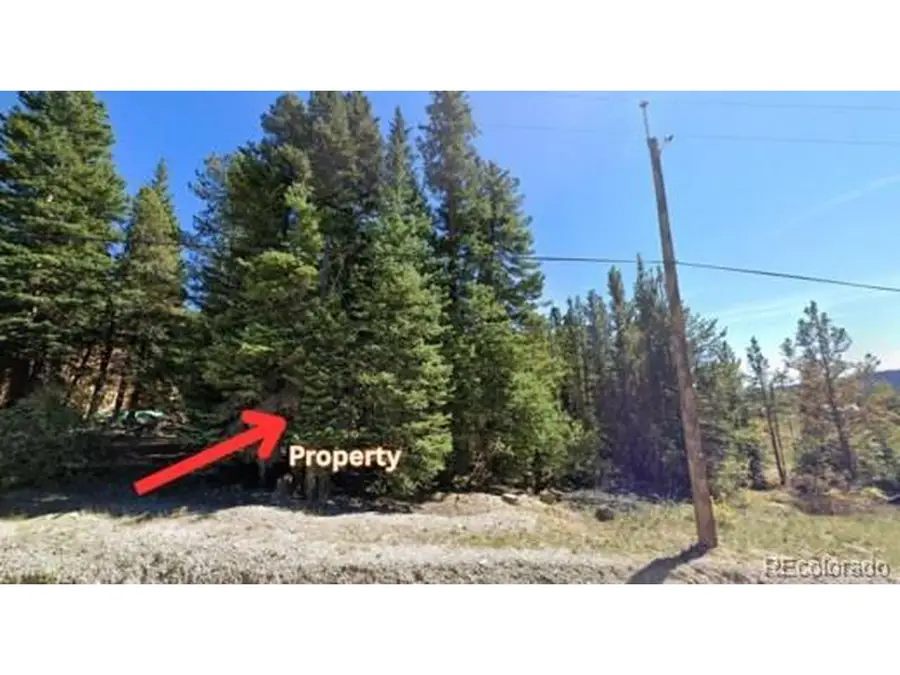 47 Silver Creek Rd, Idaho Springs, CO 80452 - Image #2