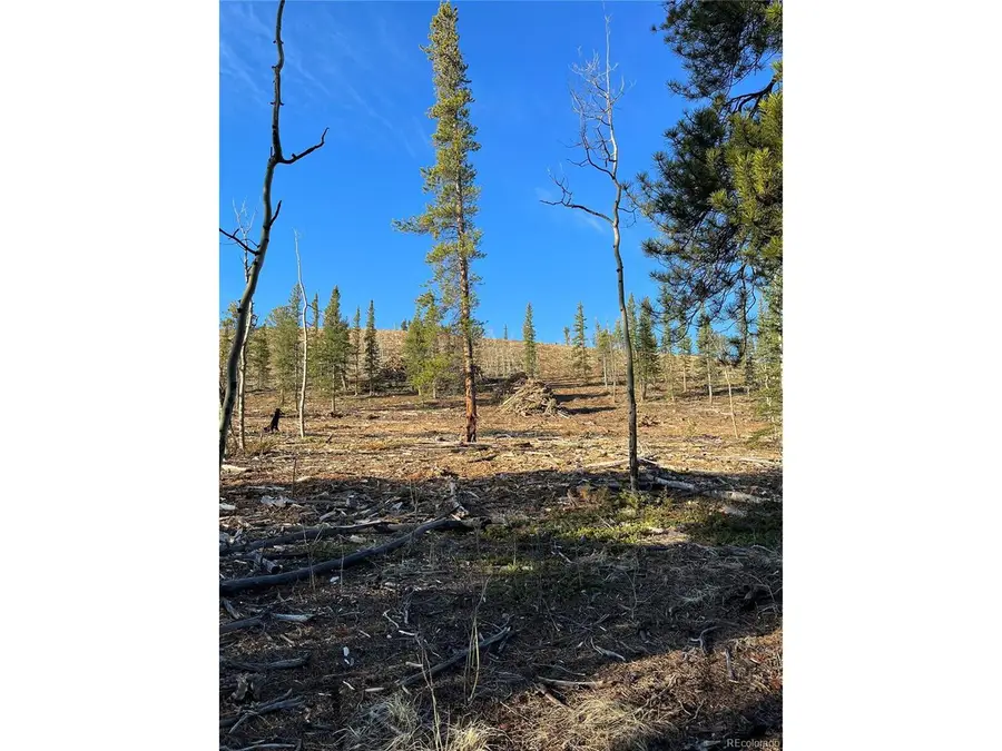 66 Rhodes Ct, Fairplay, CO 80440 - #2