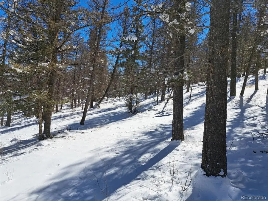 0 Redhill Rd, Fairplay, CO 80440 - #3