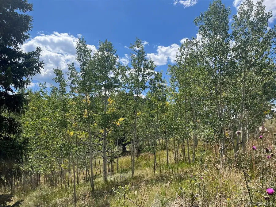 795 Russell Gulch Rd, Central City, CO 80427 - Image #3