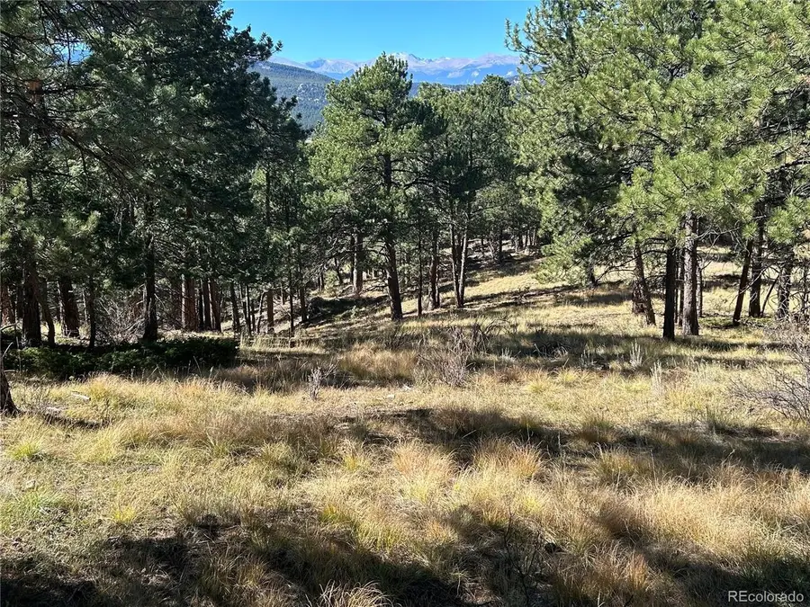 0 White House Trl, Evergreen, CO 80439 - #2