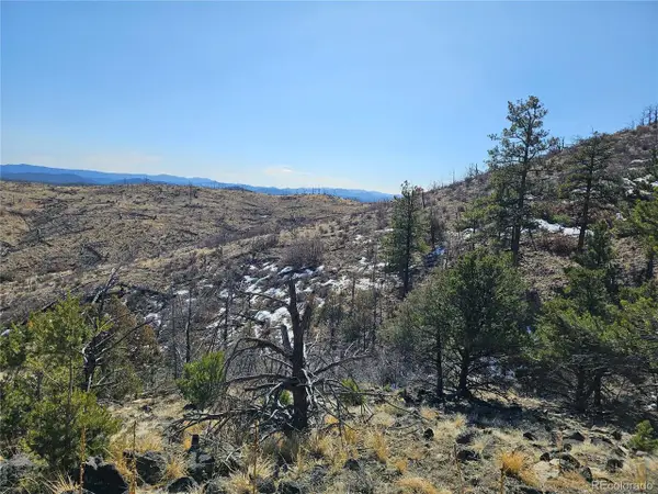 Vacant Land, Texas Creek, CO 81223