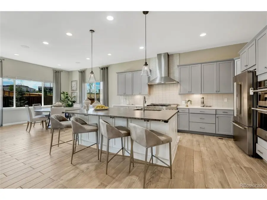 14393 Hop Clover Trl, Parker, CO 80134 - #2