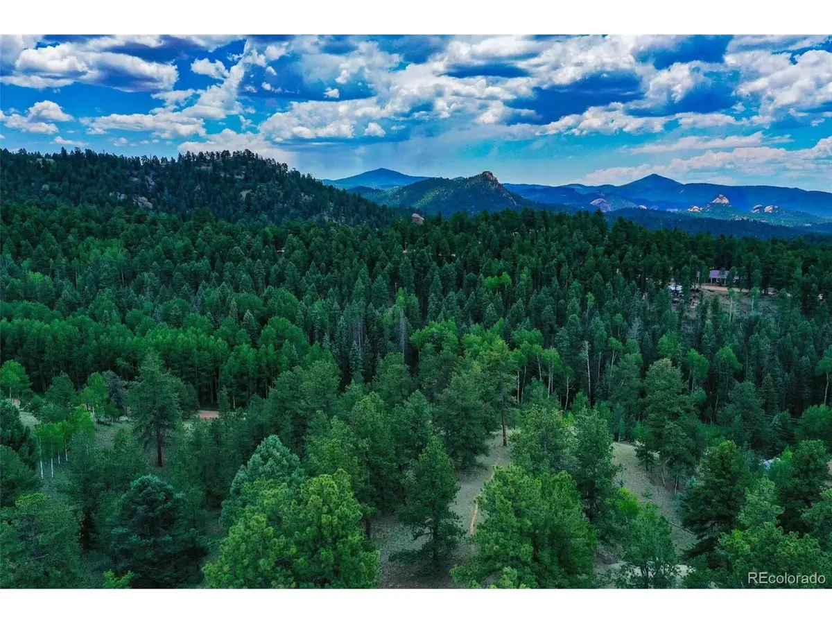 525 Spring Valley Ln, Florissant, CO 80816 - #1