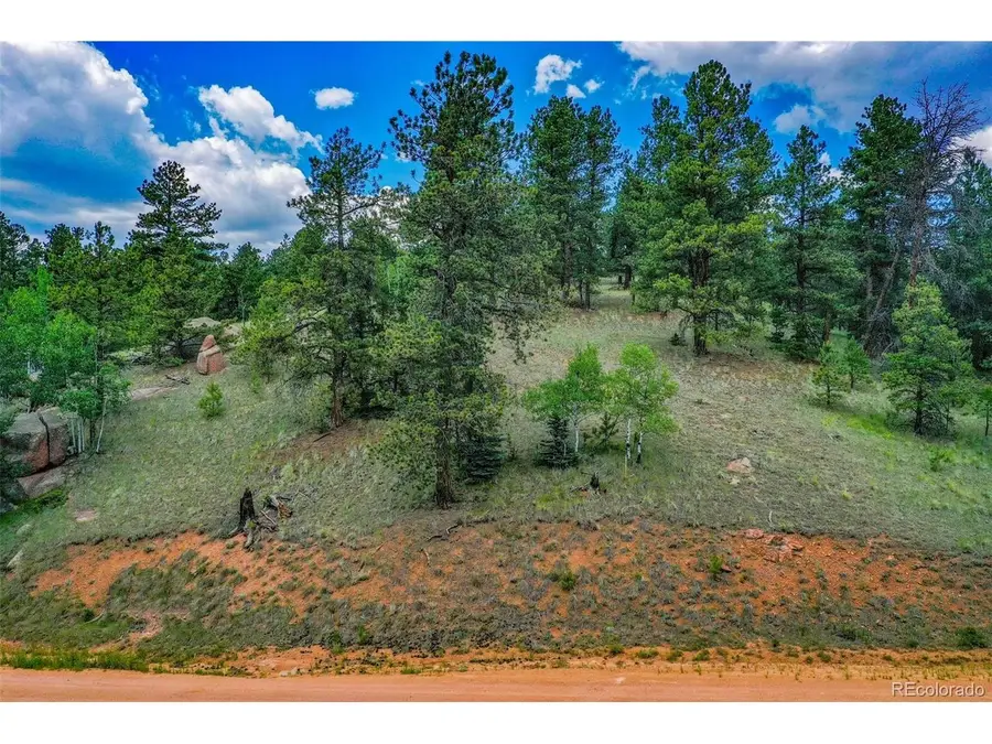 525 Spring Valley Ln, Florissant, CO 80816 - #3