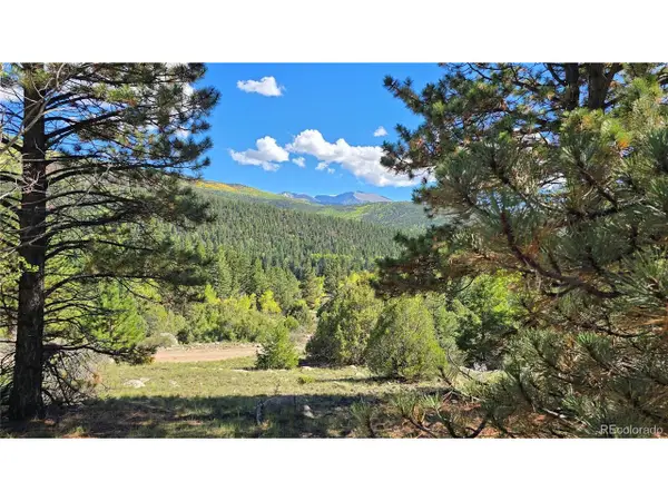 6301 Nicholson Rd, San Luis, CO 81152