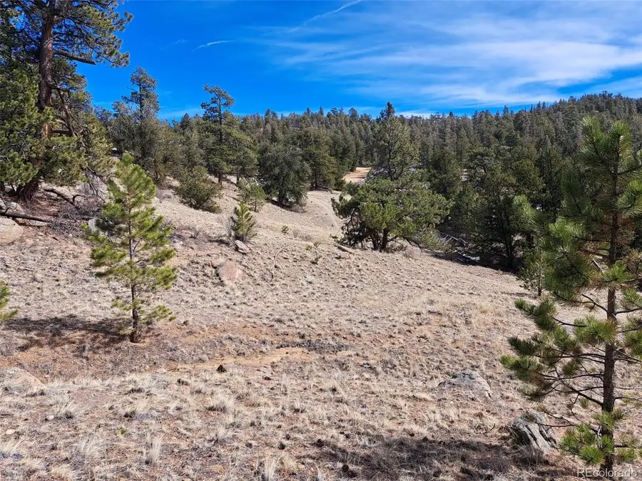 369 Summit Rd, Hartsel, CO 80449 - #2