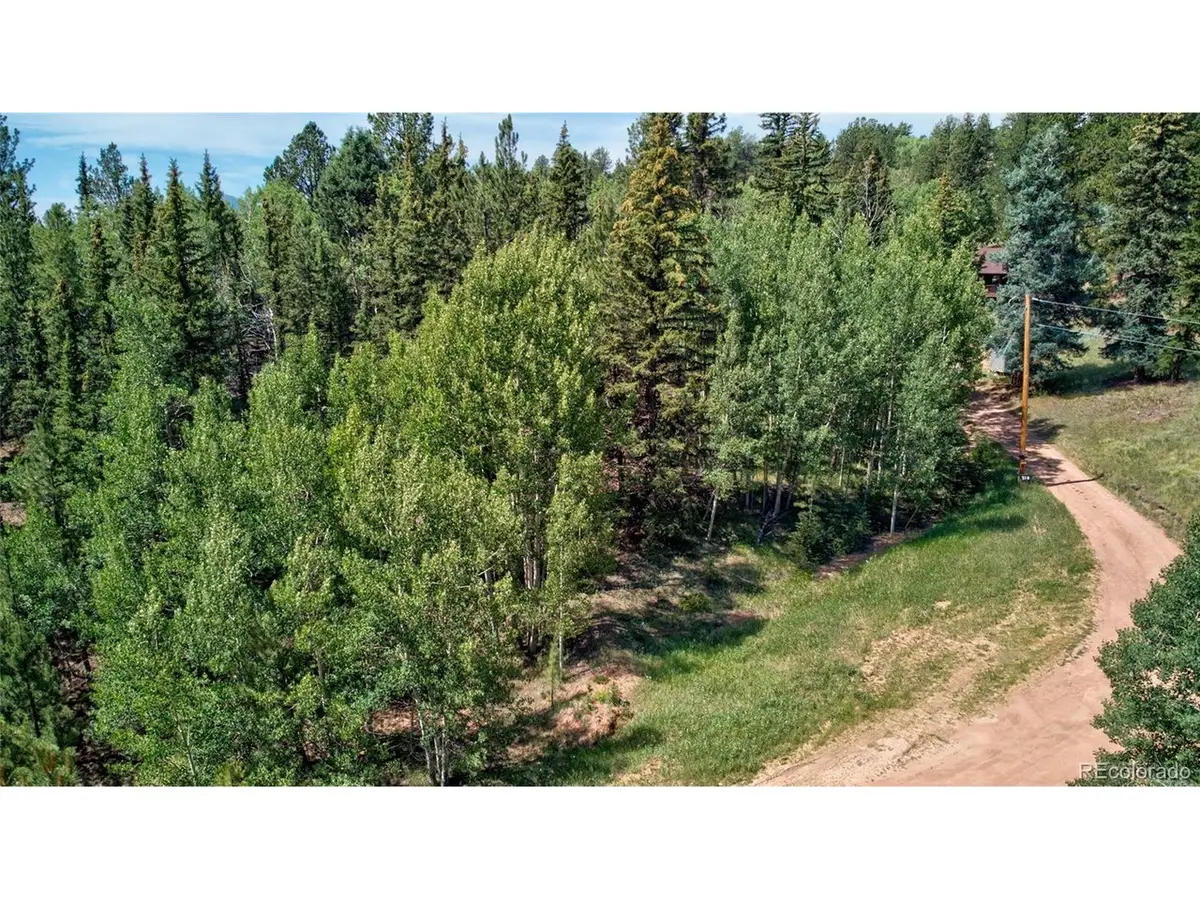 158 Rattler Ct, Cripple Creek, CO 80813 - #1