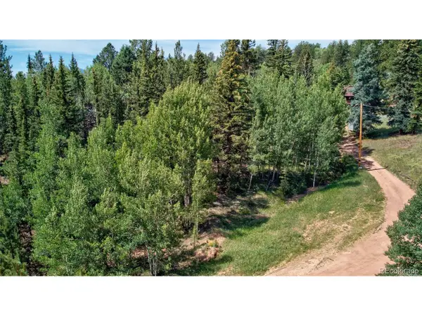 158 Rattler Ct, Cripple Creek, CO 80813